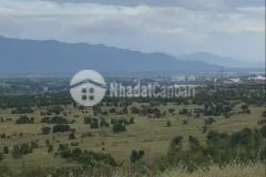 Bán đất vườn bình thuận gần đường lộ đi sân bay cách 300m diện tích 7265m2