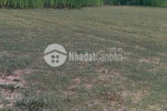 Bán 10,210m2 đất nông nghiệp hồng thái gần liên huyện giá ưu đãi mừng 3004 chỉ 85km2 lh 0938677909