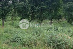 Bán đất thôn đắc lộc, vĩnh phương giá chỉ 2.5 triệum²