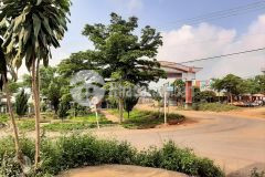 10m ngang mặt tiền đường nhựa thổ cư 200m2 giá 75trm ngang