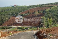 Bán nhanh lô đất 300m2 xây biệt thự xã lộc an,lâm đồng.giá 2,7trm2.view đồi chè.0772770898