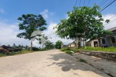 Bán gấp đất kiệt ô tô,đường trường chinh giá cỉ 1,3x tỷ kiệt thông ra quán xì dầu