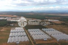 Bán lô đất 13.000m2 mặt tiền đường liên xã với giá 1.234 tỷ đồng