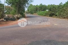 Đất mặt tiền đường 1000m2 có sổ đồng phú, bình phước giá mềm