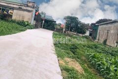 Đất đầu tư cư lò gần đường 535 cầu cửa hội