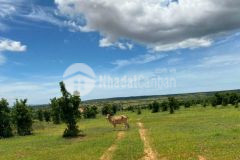 Bán lô đất 10.673m2 ngay mặt tiền đường liên xã hồng thái