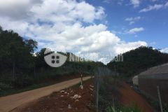 Bán mảnh đất trung tâm mộc châu view siêu đẹp