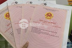 Bán vài lô đất ven biển bình thuận, đón đầu cao tốc, sân bay phan thiết, giá cực rẻ, có sẵn sổ đỏ.