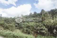 87. vị tri cần bán vườn sầu riêng thôn 9, xã lộc thành, huyện bảo lâm