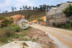 Bán gấp 664m2 có 300m2 xây dựng giá chỉ 4,5 tỷ view rừng thông