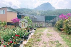 D947 bán đất làm trang trại nghỉ dưỡng chân đèo frenn tp đà lạt.