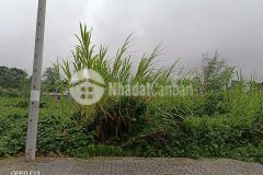 Chỉ còn duy nhất 1 lô giá tốt nhất khu vực chỉ 8,2 tỷ