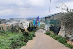 Cần bán đất huyền trân công chúa phường 4 tp đà lạt.