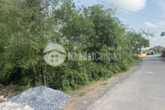 Bán đất sau lưng ủy ban hải phú hải lăng tỉnh quảng trị