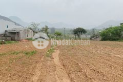 Bán mảnh đất 3991m2 có 400m thổ cư, thuộc thiểu khu chiềng đi. lh em linh 0933.56.1998