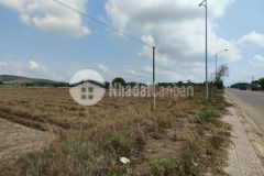 Bán 5213m2 đất, sổ riêng, tại tt tân nghĩa, bình thuận. chỉ 7 tỷ. lh0989150200.