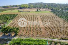 Bán lô đất 13.000m2 mặt tiền đường liên xã với giá 95.000 đm2