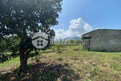 Bán đất tặng vườn bưởi xã khánh phú có thổ cư giá rẻ lh 0788.558.552