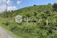 90. bán lô đất thôn 6 xã đại lào thành phố bảo lộc