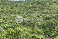 92. bán lô đất thôn 10c xã lộc thành huyện bảo lâm