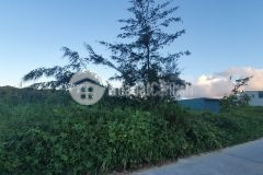 Nđt không thể bỏ qua mảnh này nằm ngay thị trấn cô tô giá cực rẻ cho kh nhanh 1