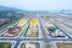 Bán đất nền dự án phương đông vân đồn quảng ninh giá đầu tư 25 triệum2