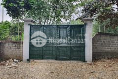 Bán đất cư yên lương sơn 2900m2, tường bao quanh, cây cối tươi tốt cách hà nội tầm 45km