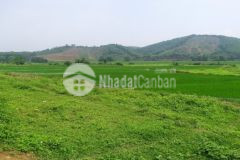 Bán đất lương sơn hòa bình dt 3300m2 có 538m đất ở giá re.