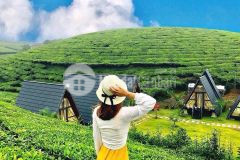 Đât nên nghi dương gia siêu re siêu đep tai bao lôc lâm đông