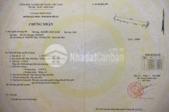 Bán lô góc ngã ba mặt tiền liên huyện, dt 11.454m2, lh 0901.078.257