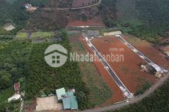 Đất lộc an,bảo lộc,view đồi săn mây.sổ hồng trao tay.cách quốc lộ 20 chỉ 3km.0772770898