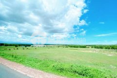 Chỉ cần 540 triệu có ngay 4200m2 đất mặt tiền đường liên huyện, lh 0901.078.257