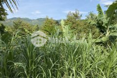 96.bán lô đất thôn 11 xã đại lào thành phố bảo lộc