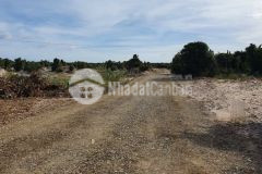 Bán đất mặt tiền đường nhựa liên huyện đi sân bay phan thiết 5000m2 shr