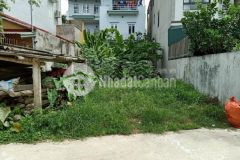 Bán 65m2 đất mỹ đình, sổ vuông hoa hậu, chỉ 2.9 tỷ