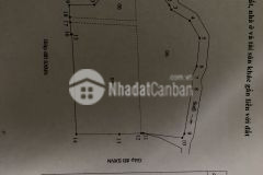 Bán trang trại gà đẻ quy mô 25000 con, 1,7 mẫu đang gia công 5,5 tỷ