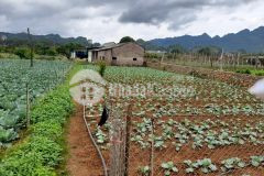 Bán mảnh đất 428m2, có sẵn thổ cư, view đồi gió. liên hệ em linh 0933.56.1998