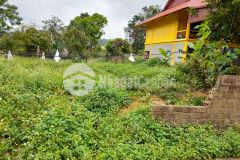 Duy nhất 275m2 đất thổ cư rừng thông bản áng view đồi thông giá khuyến mại