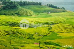 Bán mảnh đất gần trường đua ngựa,khu trung tâm hành chính mới mảnh đất 2700m2