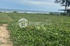 Bán 4500m tiến thành mặt tiền lạc long quân giá 40 tỷ view biển