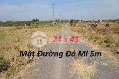 Đât vươn sô hông riêng 985m2 đương ô tô vao tơi đât