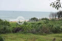 Bán 878m xã thuận quý, mặt tiền 719, kê gà, phan thiết, bình thuận giá 6.5 tỷ, tựa sơn hướng thủy