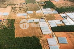 Đất vườn hồng thái, diện tích 8000m2, giá bán chỉ 70km2, đường hiện hữu, liên hệ 0901.078.257