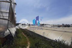 Đất ngô thì sĩ phường 4, tp đà lạt, tỉnh lâm đồng.