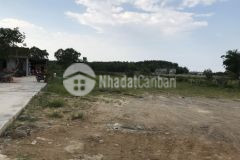 Đất 2 mặt tiền cam thủy, cam lộ, quảng trị