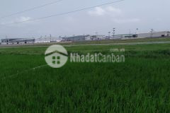 Bán đất giãn dân hữu bằng ngọc xá quế võ, 1 chủ giá 9,8 triệu m2. lh 0388153811