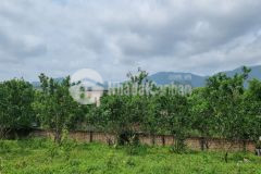 Bán 6700m2 có 2000m2 thổ cư tại cao dương lương sơn, hòa bình