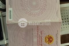 Bán nhanh 1 trong 5 lô đất mặt biển thanh lân giá sale sốc