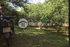 Bán mảnh đất 2109m2, tại bản áng, đông sang. lh 0933.56.1998