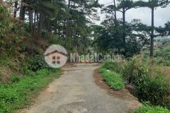 Đất đẹp view thiên nhiên trong lòng thành phố đà lạt